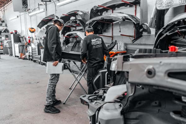 Team Members