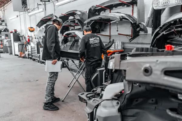 Team Members