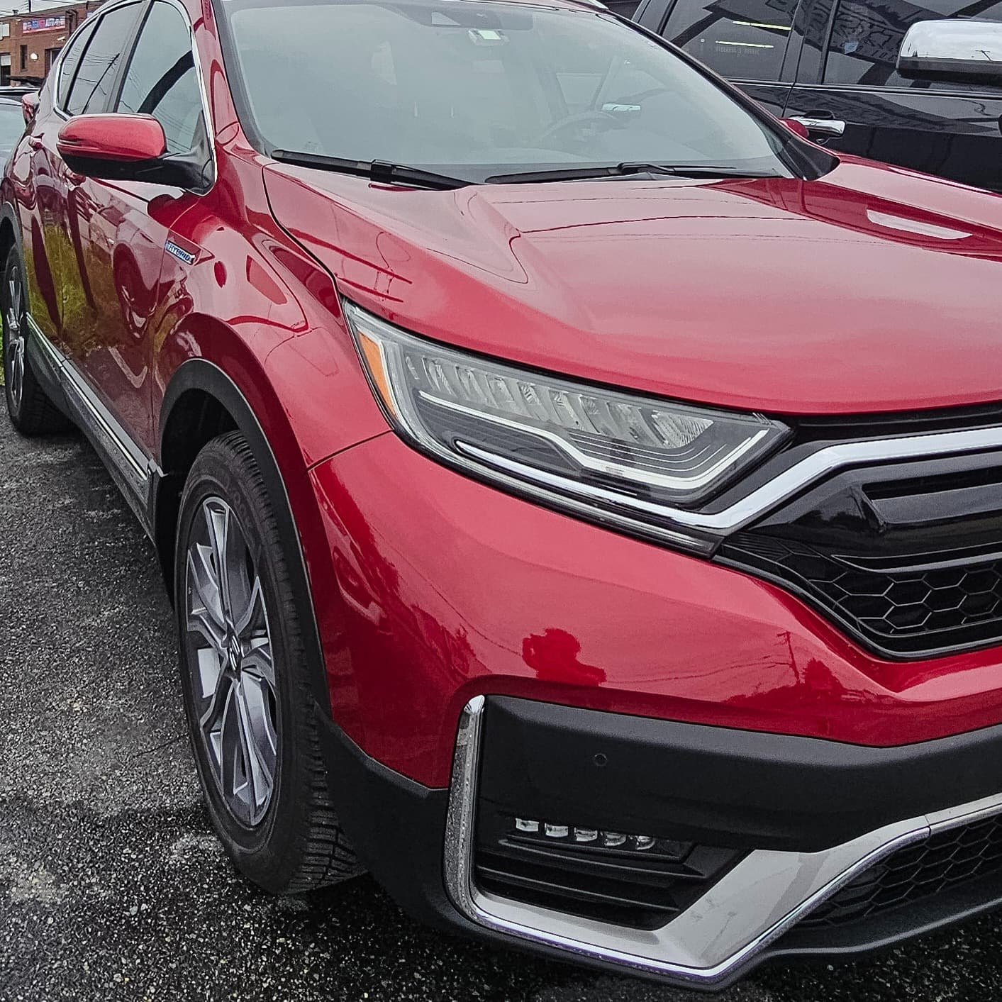 Body Restoration - After